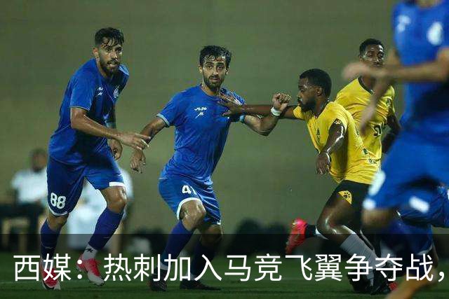 西媒：热刺加入马竞飞翼争夺战，将与利物浦抢这位24岁带刀侍卫