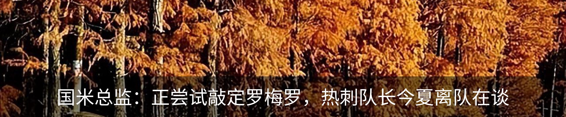 内页banner
